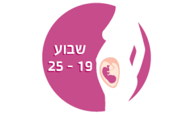סקירת מערכות מאוחרת